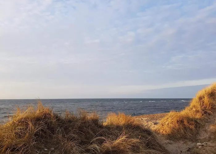 7 Person In * Frostrup